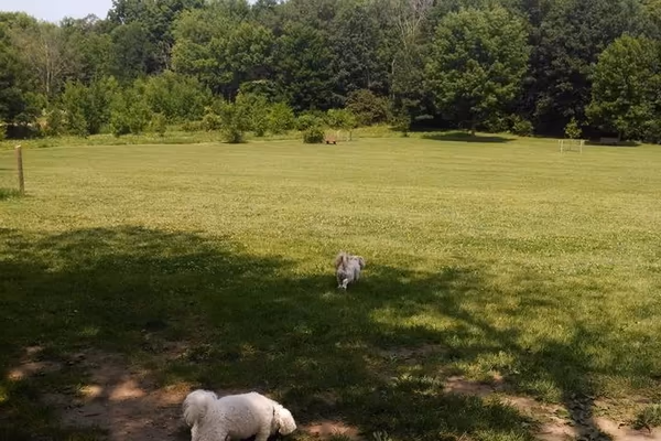 Karen A. Nelson Memorial Dog Park photo 2